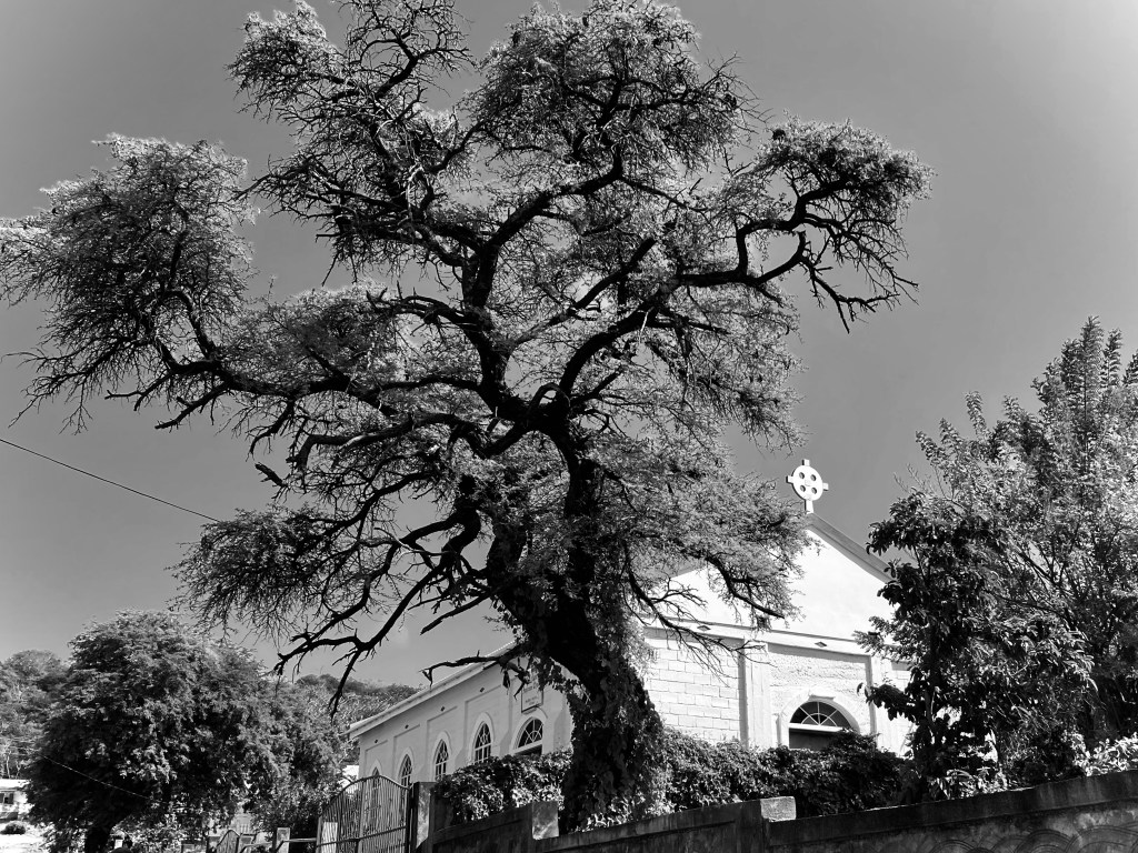 Happy New Year from&nbsp;Grenada