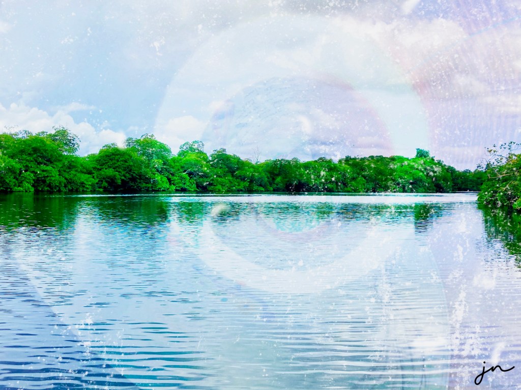 Immersed in Nature and the Cycles of&nbsp;Life